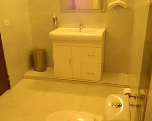 Shyama International Hotel New Delhi